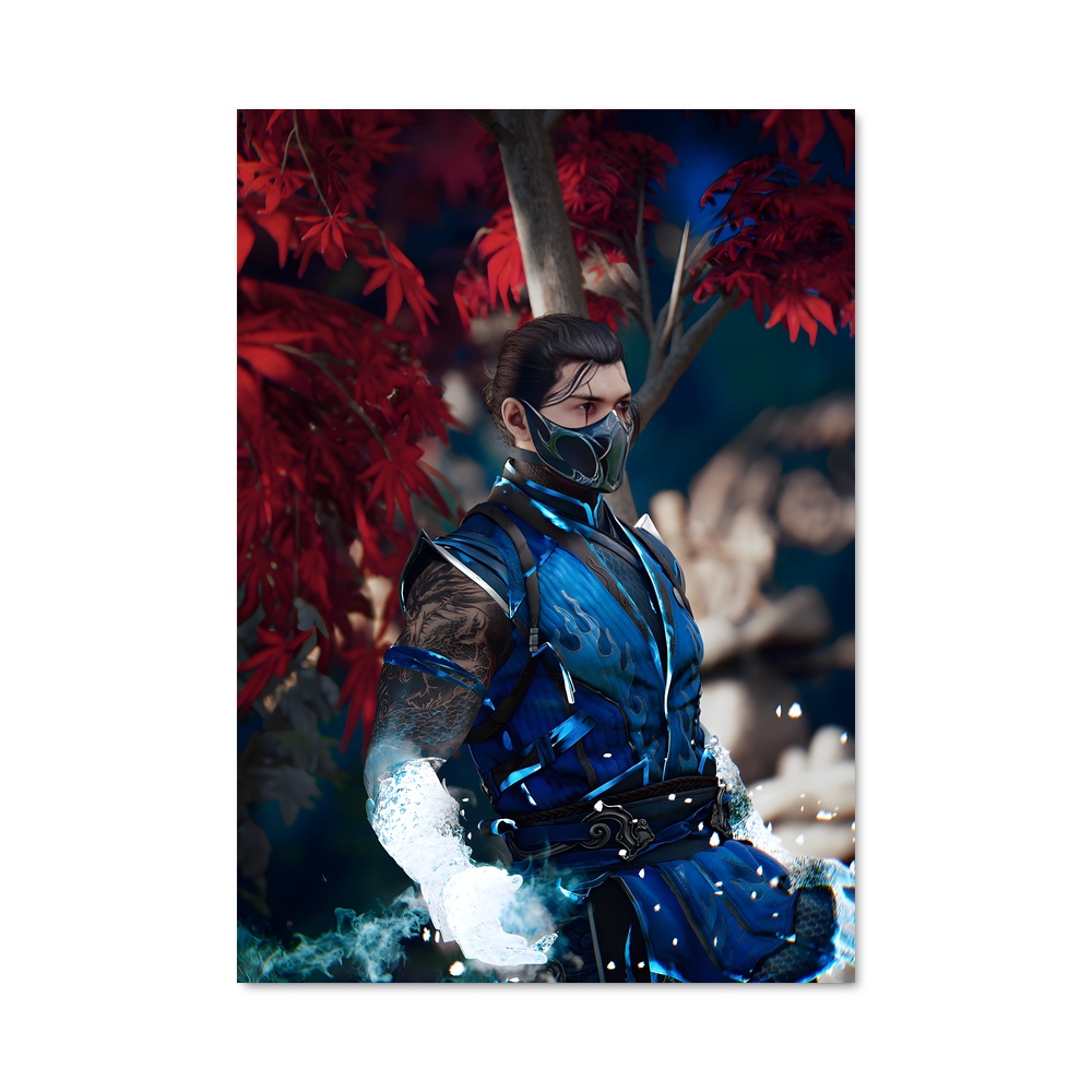Poster Sub de zero